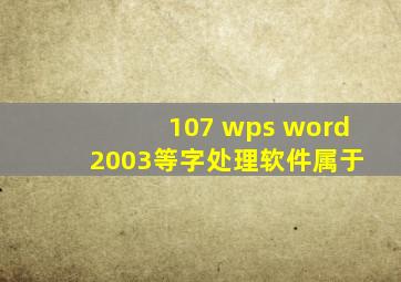 107 wps word 2003等字处理软件属于